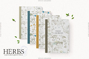 HERBS || Botanica & Glitter Effect, an Illustration by nadispasibenko (Thumbnail 8 of 8)