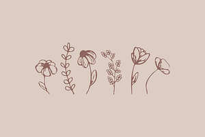 Minimalist Flowers Illustrations