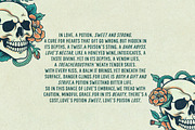 Tequila Blanco - Hand drawn Sans, a Handwritten Font by Nicky Laatz (Thumbnail 13 of 14)