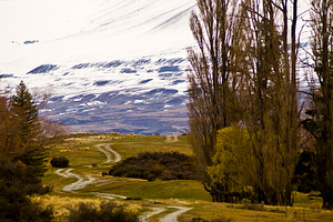 Country Road New Zealand, a Nature Photo by THP Creative