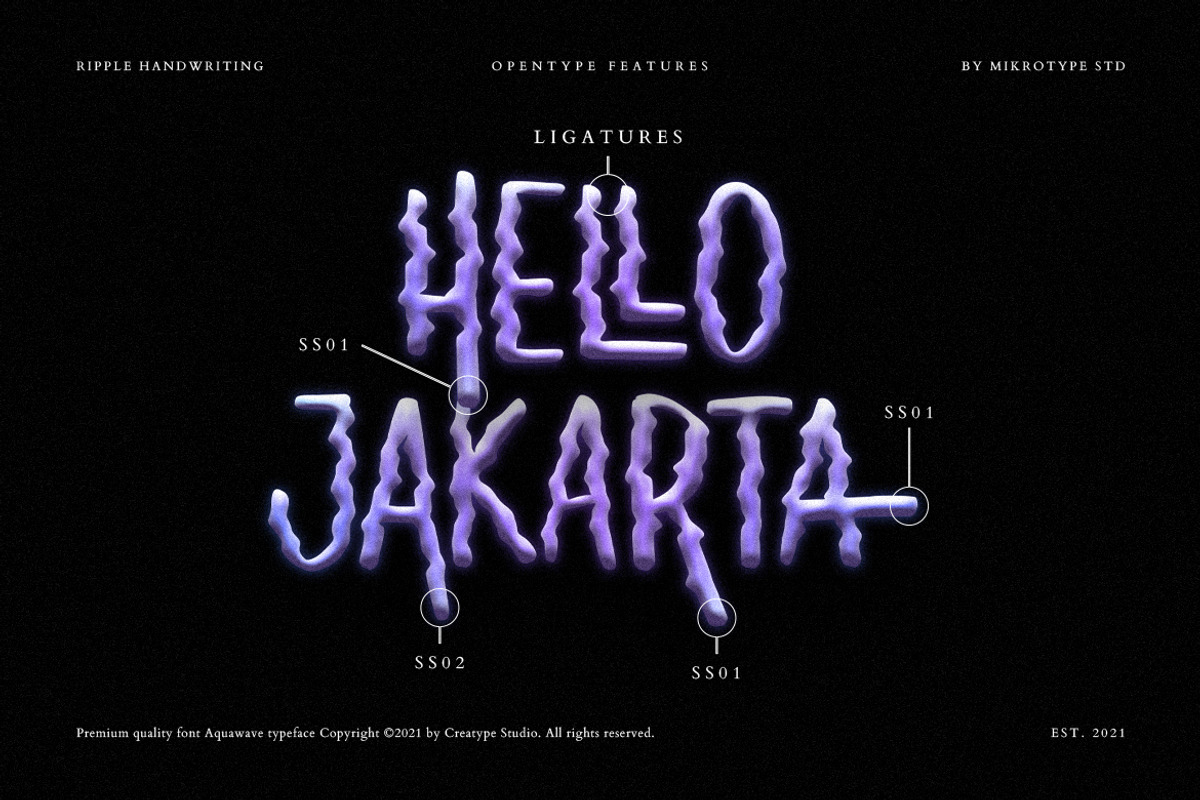 Aquawave Ripple Handwriting, a Font by Creatype Studio (Photo 5 of 9)
