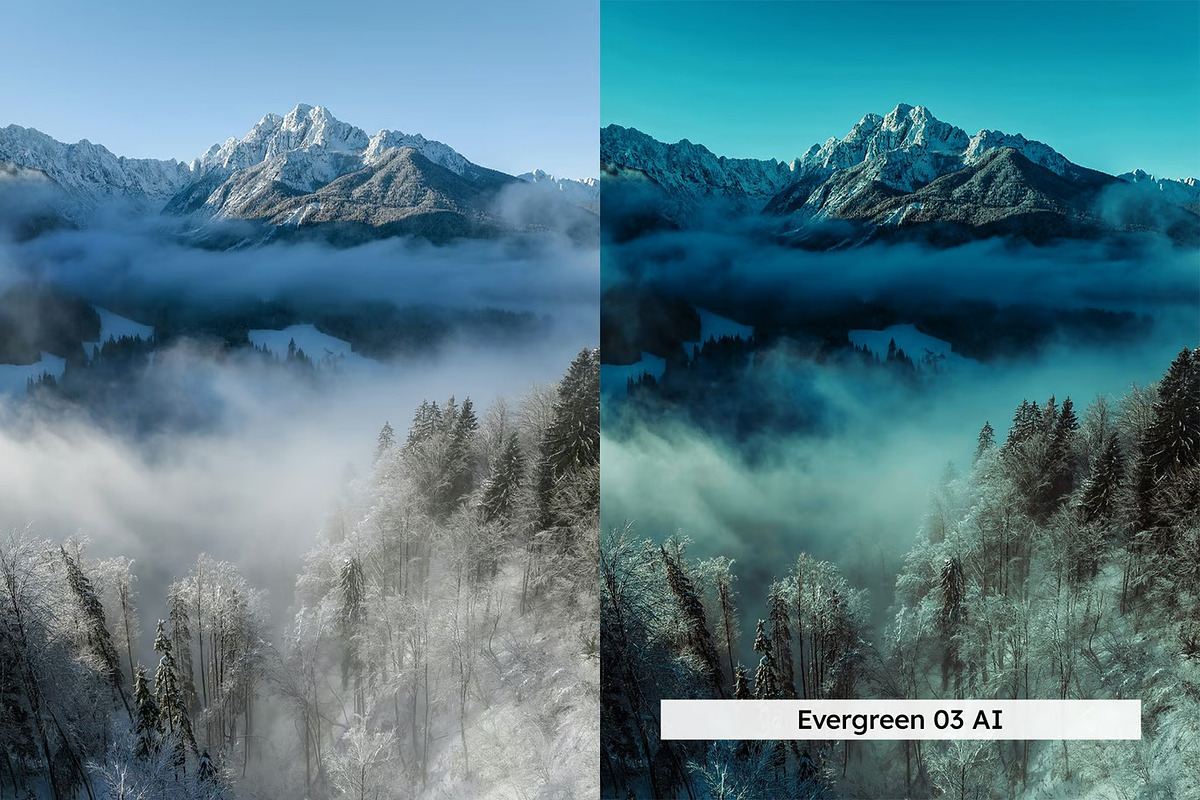 20 Winter Forest Lightroom Presets, a Preset Add-On by Hubzway (Photo 11 of 13)