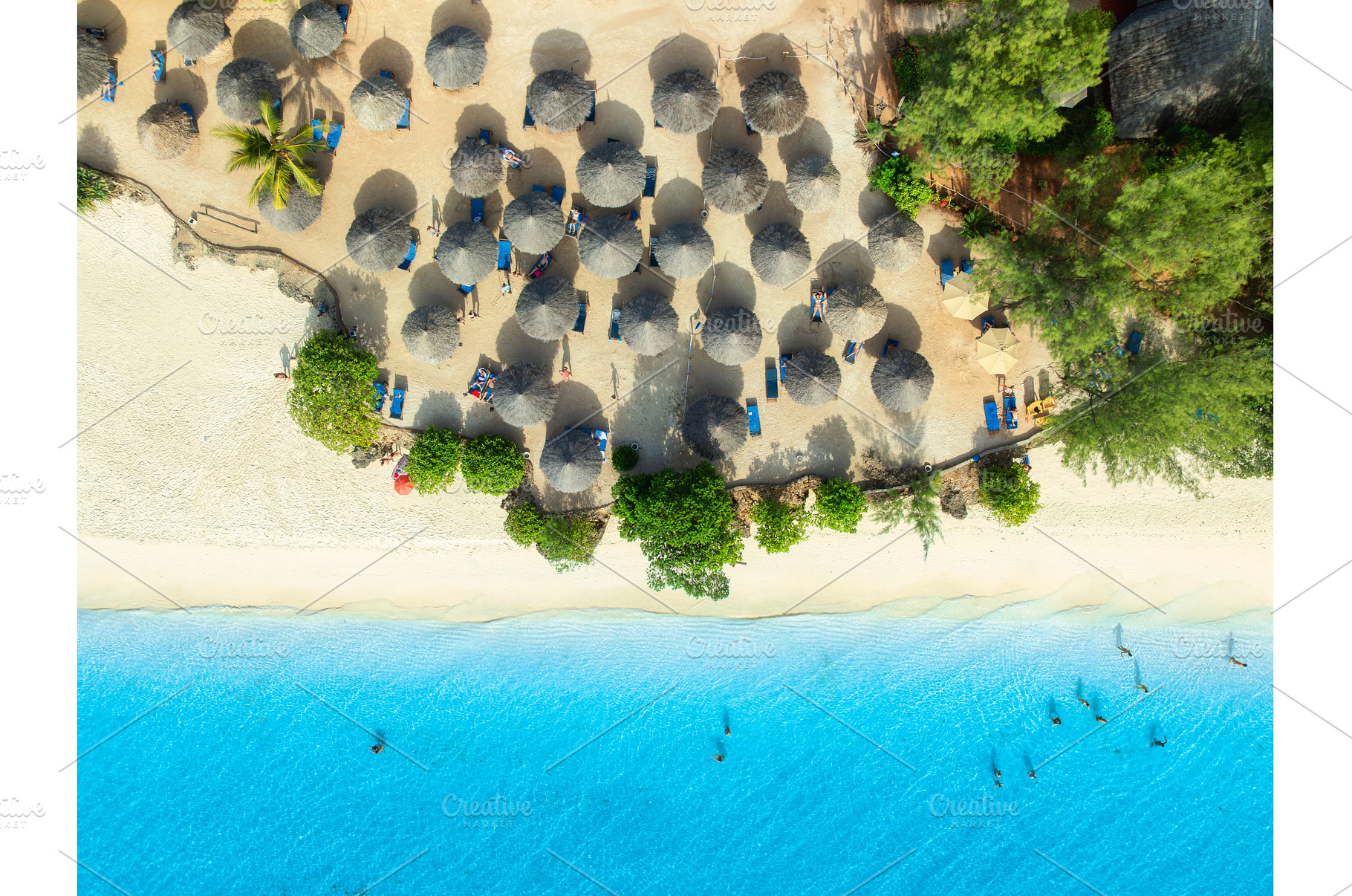 Aerial view of palm trees, umbrellas, a Nature Photo by den-belitsky