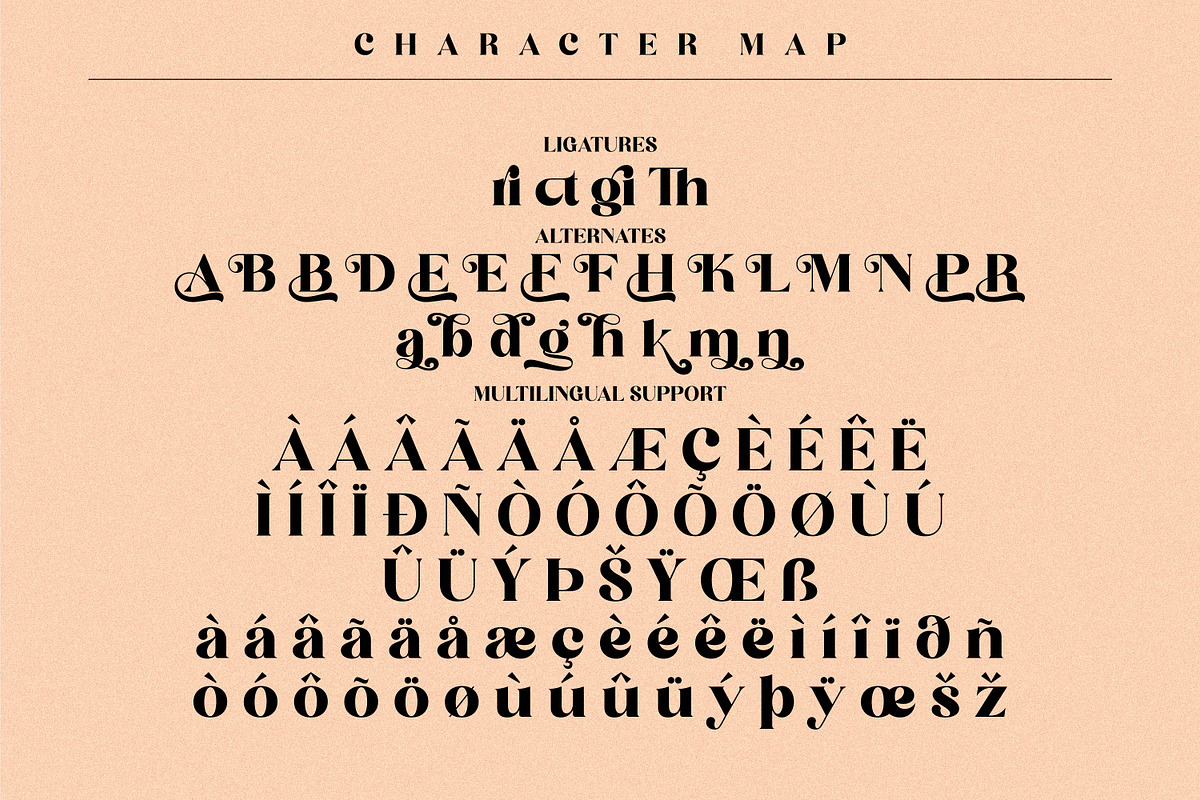 Begika Modern and Classy Serif Font, a Script Font by Storytype Studio (Photo 10 of 11)