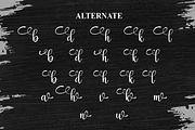 Brush Black | Script Font, a Handwritten Font by Scratchones (Thumbnail 8 of 9)