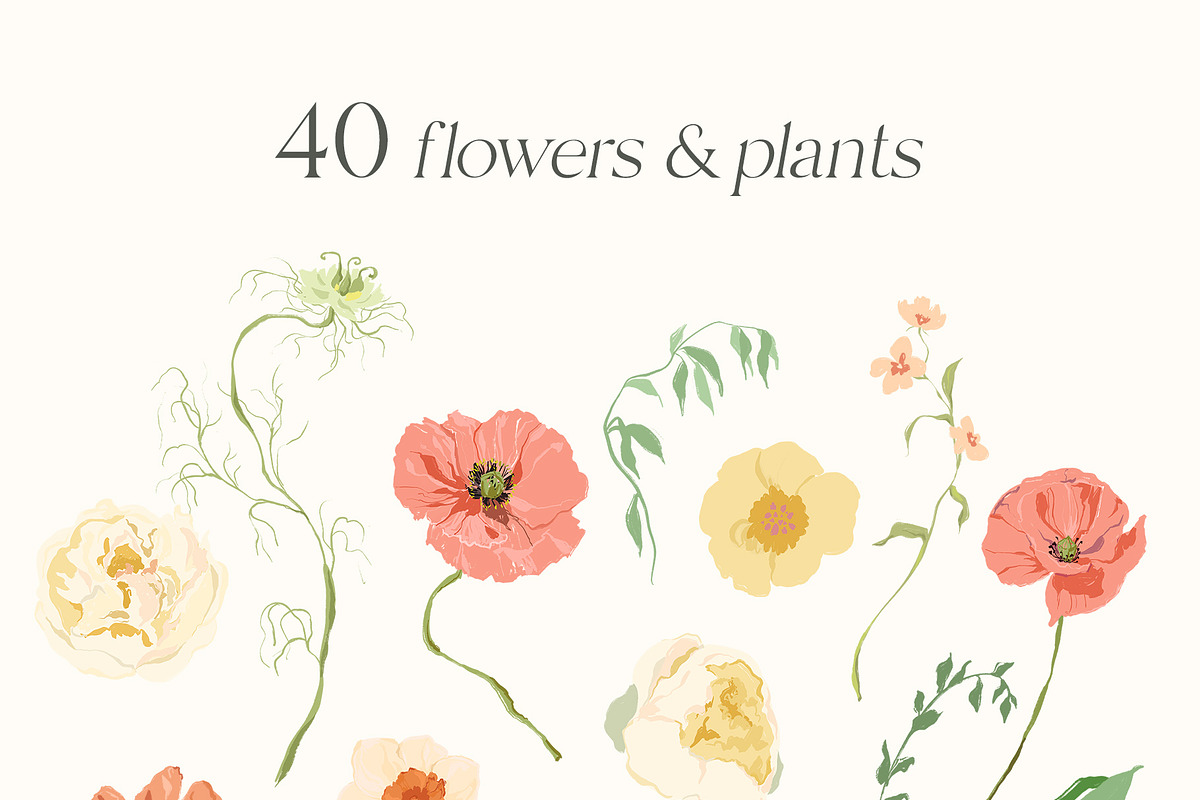 Wildflower garden retro flowers, a Decorative Illustration by Yuliya Derbisheva (Photo 10 of 12)