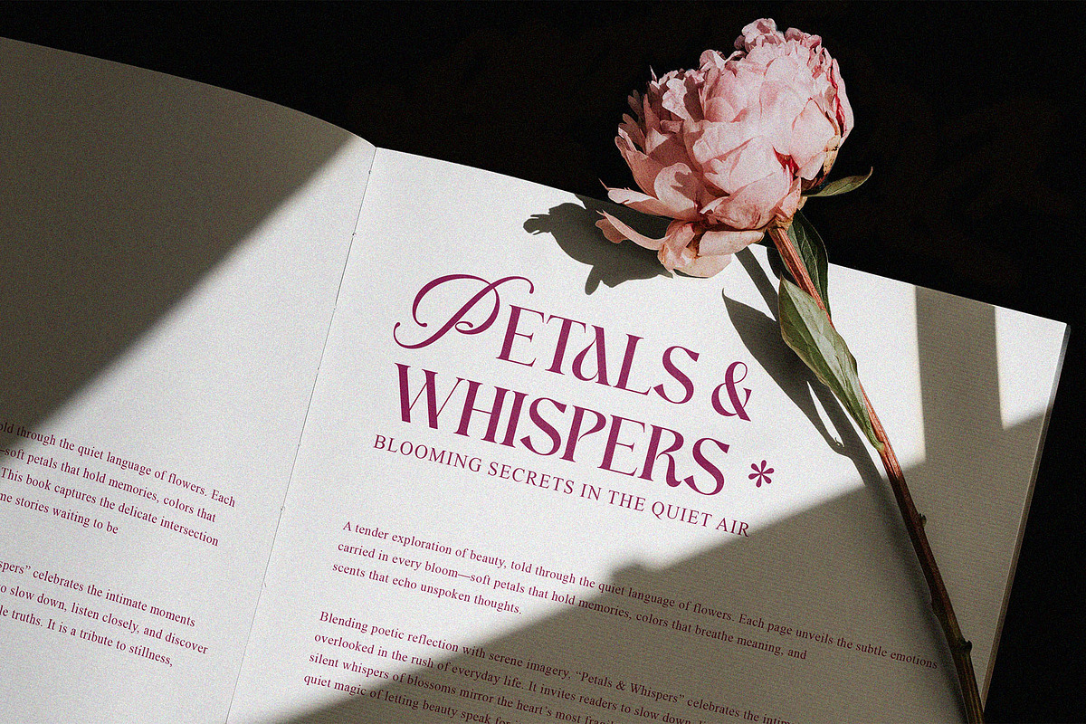 Noxivane — Stylish Serif Script, a Serif Font by Almeera Std (Photo 3 of 10)