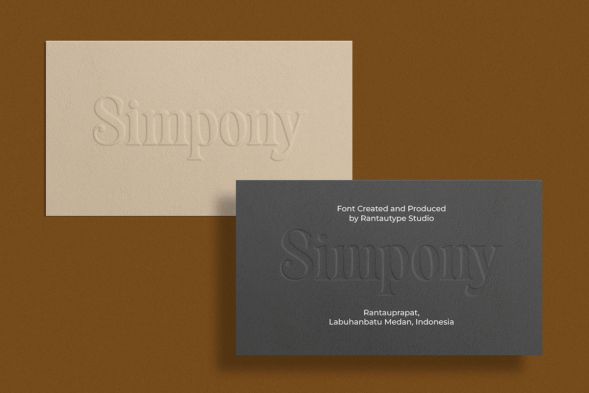 Blenisa Modern Beautiful Font, a Serif Font by RantautypeStudio (Photo 7 of 17)
