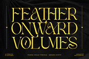 Pearce Vogue - Luxury Serif, a Serif Font by Qweera Studio (Thumbnail 7 of 10)