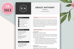 Professional CV Resume Template