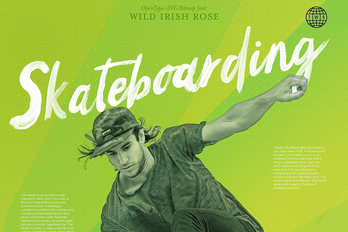 Script font Wild Irish Rose, a Script Font by Itsmesimon (Photo 21 of 25)
