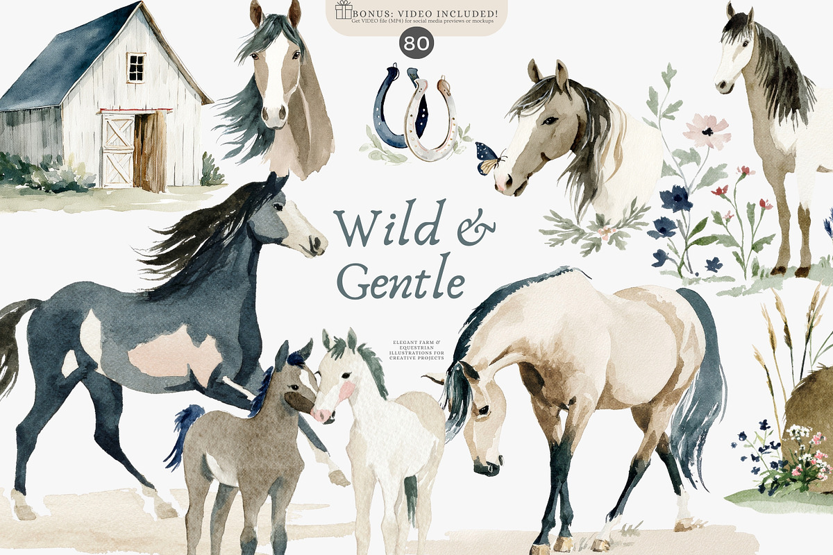 horse clipart horse illustration set, an Illustration by Patishop Art (Photo 2 of 10)
