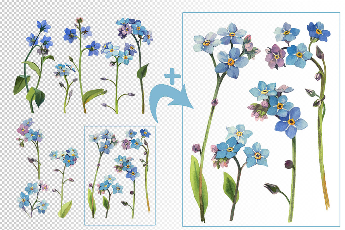 Watercolor set - forget-me-nots, a Decorative Illustration by My art shop (Photo 2 of 2)