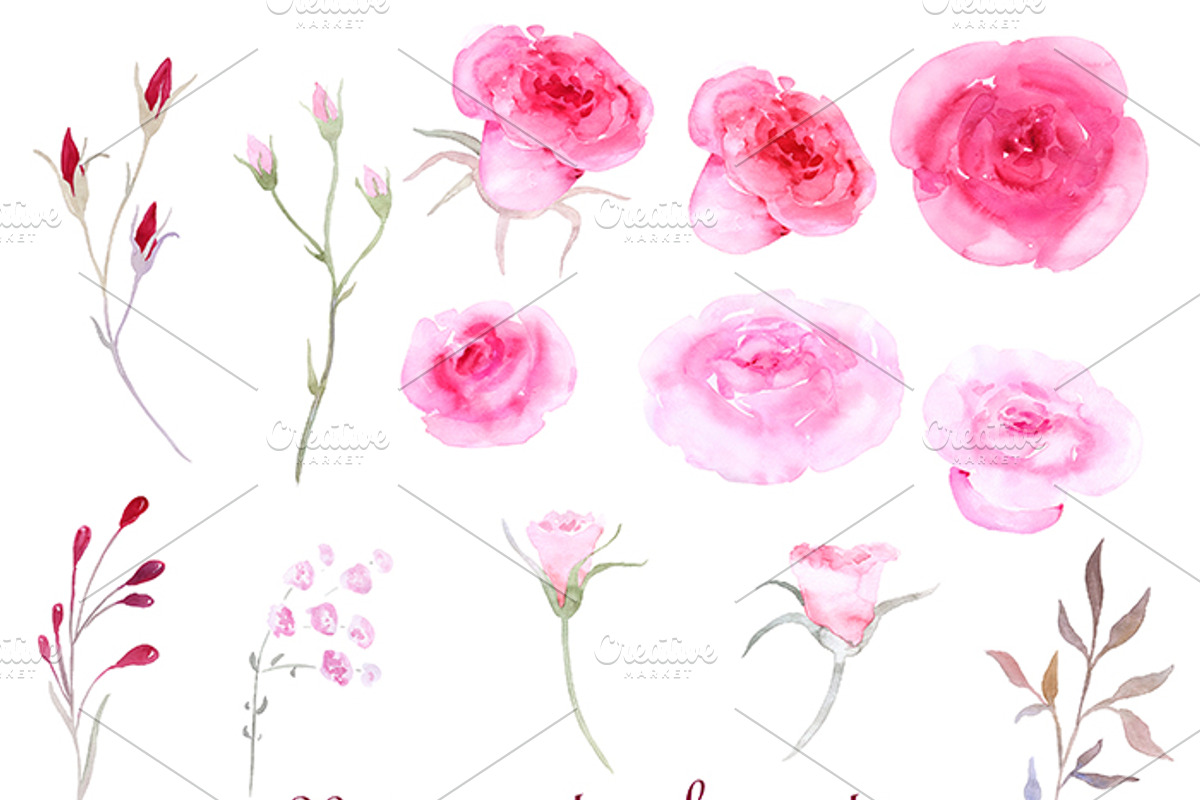 Watercolor Clipart Romantic Roses, a Decorative Illustration by AqwaColor (Photo 4 of 5)