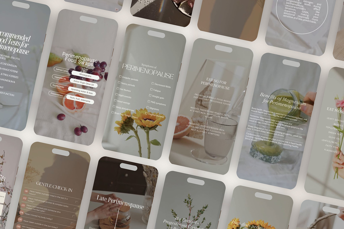 Menopause Instagram Reels Canva
