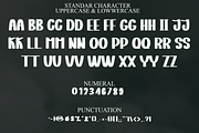 Jasmine, a Serif Font by FreshTypeINK (Thumbnail 1 of 8)