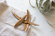 Healing Herbs Photo Bundle, a Health & Medical Photo by Wellness Stock Market (Thumbnail 6 of 12)