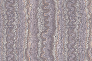 5 vector abstract seamless patterns, an Illustration by tamara.comotomka (Thumbnail 1 of 5)