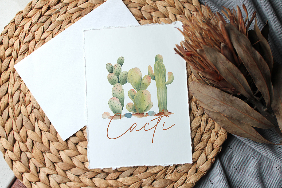 Cacti watercolor collection, an Object Illustration by Skliarova (Photo 2 of 10)