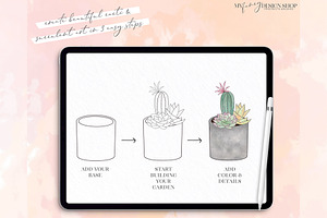 Procreate Cacti And Succulent Set