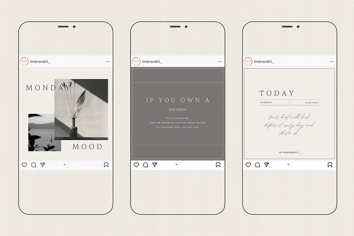 Paloma Social Media Kit, a Social Media Template by The Brand Kit (Photo 8 of 9)