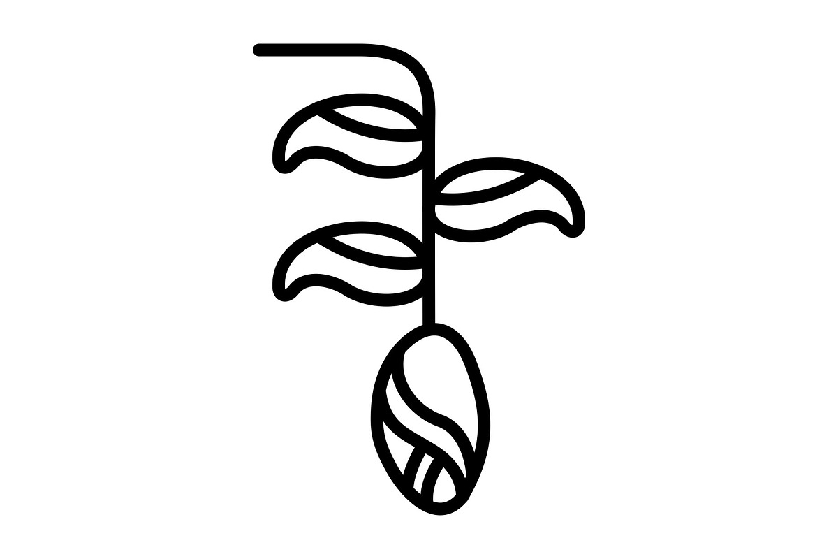 HelIconia Line Icon, an Icon by Pexelpy