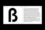 SK Synonym Grotesk — Modern Typeface, a Font by Shriftovik Type Foundry (Thumbnail 13 of 15)