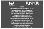 The Journalist Font, a Blackletter Font by weknow (Thumbnail 6 of 8)