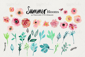 Summer Blooms Watercolors