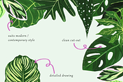 Tropical Leaves Drawing Set, a Decorative Illustration by elpple (Thumbnail 3 of 6)