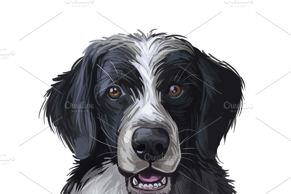 Dogs Cross Breeds 56 Animals Bundle, an Animal Illustration by Dneprstock (Photo 49 of 55)