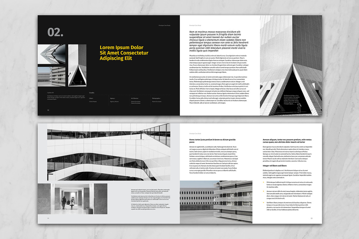 Kreatype Case Study, a Brochure Template by Kreatype Studio (Photo 5 of 13)