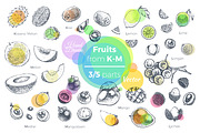 Fruits - hand drawn vector set, a Food Illustration by Margo Miller (Thumbnail 10 of 25)