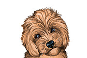 Dogs Cross Breeds 56 Animals Bundle, an Animal Illustration by Dneprstock (Thumbnail 33 of 55)