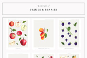 Fruits & Berries Botanical, a Food Illustration by LiChu Art (Thumbnail 3 of 14)