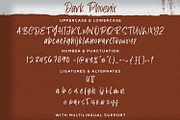 Dark Phoenix - Playful Display Font, a Handwritten Font by StringLabs (Thumbnail 9 of 10)