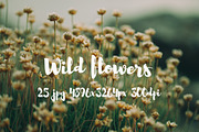Wild Flowers II, a Templates & Theme by ApertureVintage (Thumbnail 11 of 14)