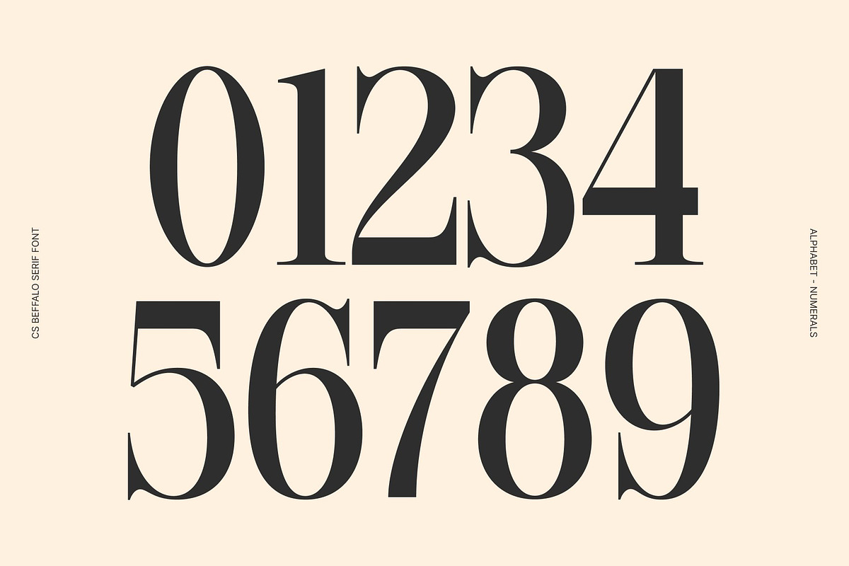 CS Beffalo – Elegant Serif Font, a Serif Font by Craft Supply Co. (Photo 4 of 8)