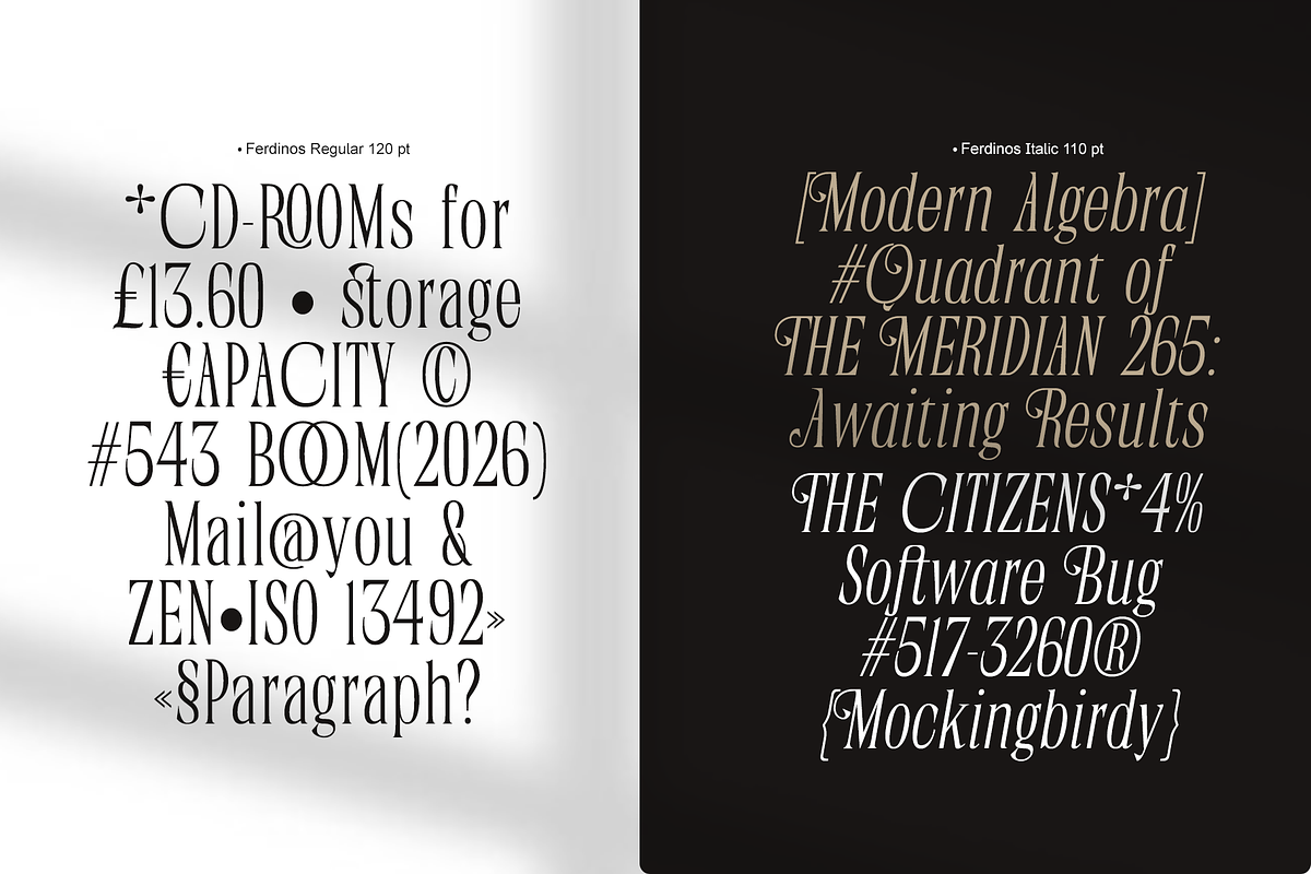 Ferdinos, a Serif Font by Dora Typefoundry (Photo 6 of 14)