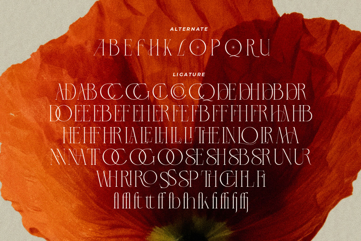 LT Verola – Rich Serif Ligature Type, a Serif Font by Luminotype (Photo 15 of 15)