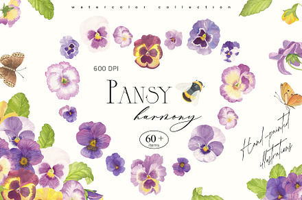 Pansy harmony watercolor