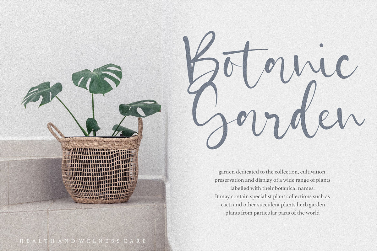 Castilla - Beautiful Modern Font, a Script Font by Letterative Studio (Photo 4 of 7)