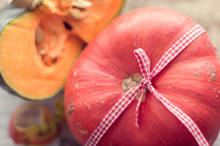 red pumpkin with a ribbon, a Food & Drink Photo by Eni_fly