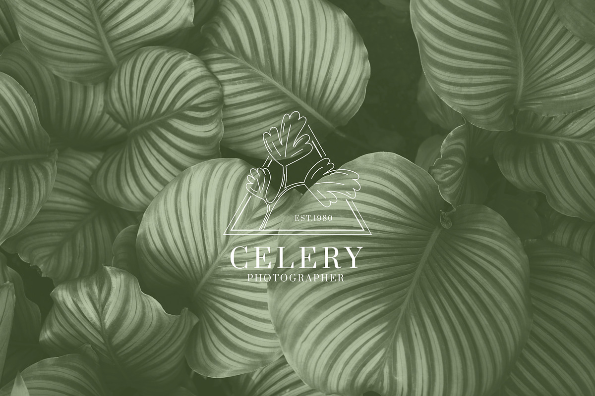Botanical Illustration & Logo Bundle, a Branding & Logo Template by Lightsense (Photo 7 of 8)