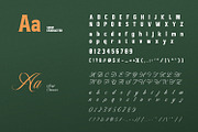 Calvelin, a Serif Font by din-studio.com (Thumbnail 6 of 10)