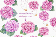 SALE! Watercolor Pink Hydrangea, an Illustration by Irina Diasli (Thumbnail 2 of 5)