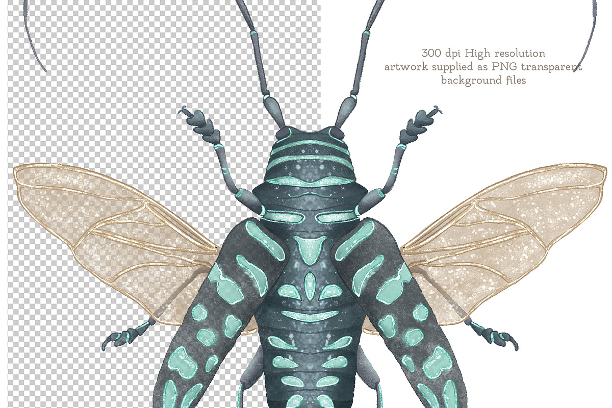 Vintage Beetle Clipart Patterns, an Animal Illustration by AlenaVlasko stock Market (Photo 2 of 5)