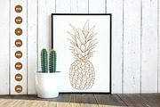 Pineapple engraving style hand drawn, a Food Illustration by vectorartificer (Thumbnail 2 of 6)