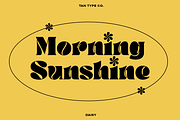 TAN - DAISY, a Serif Font by TanType (Thumbnail 5 of 14)