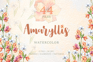 Amaryllis Flowers Watercolor Png